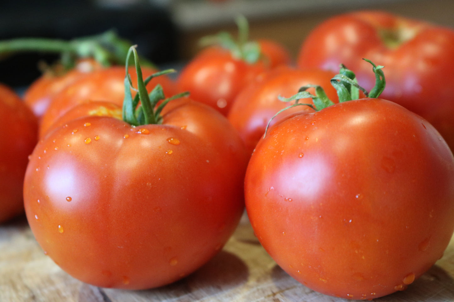Better Boy Plus Tomato