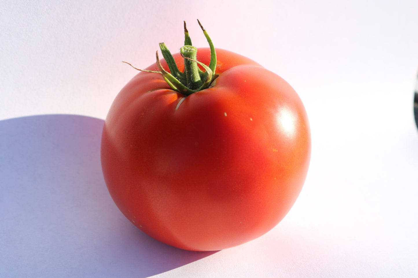 Big Beef Plus Tomato