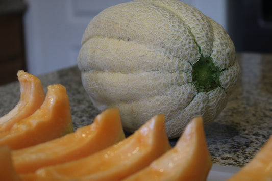 Burpee Hybrid Melon