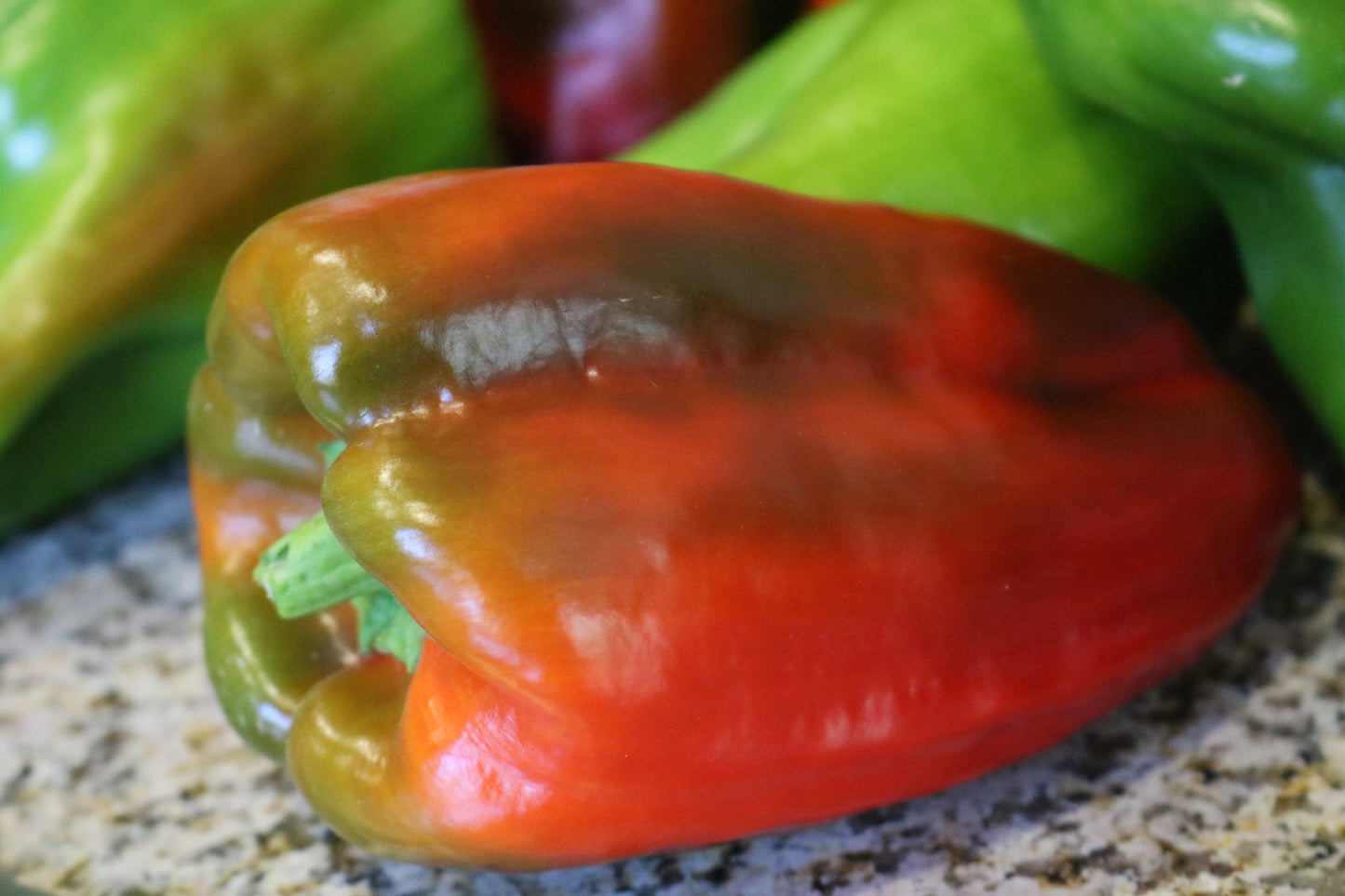 Big Bertha Bell Pepper