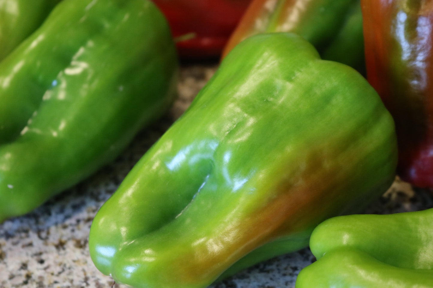 Big Bertha Bell Pepper