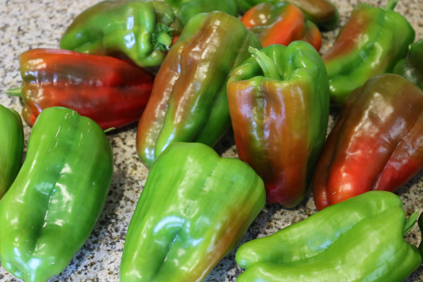 Big Bertha Bell Pepper